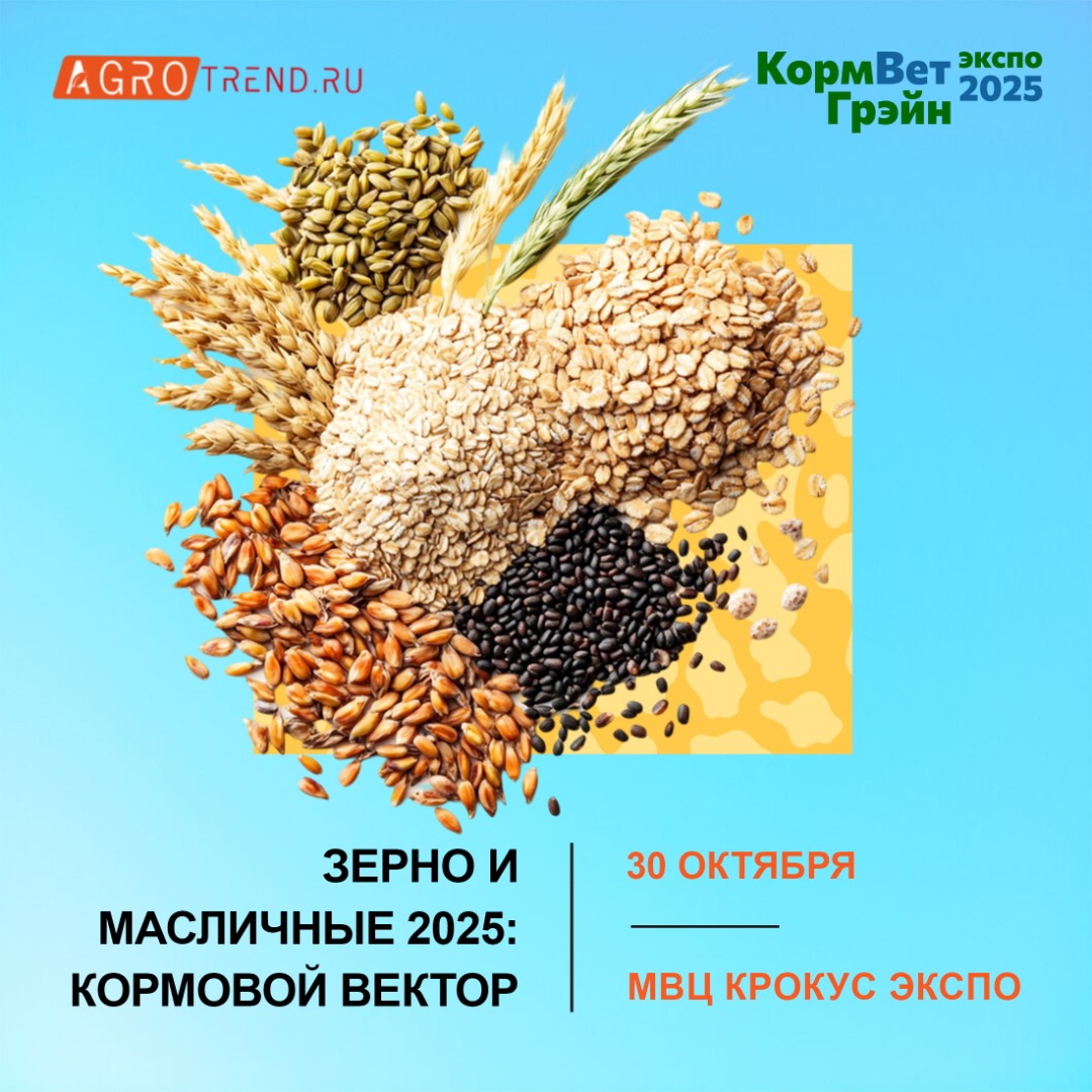 V ежегодная конференция «Зерно и масличные 2025: кормовой вектор»