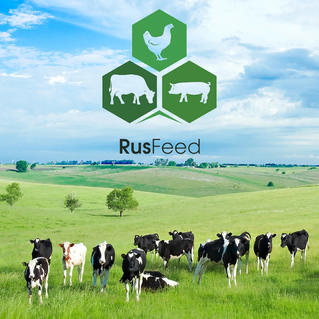 РУСФИД: Правильное кормление и менеджмент = высокая продуктивность и долголетие коров