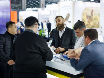 20251029 10.57 №1111