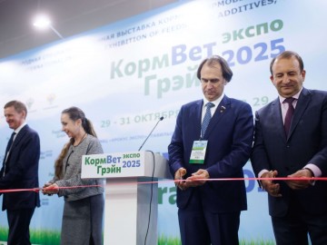 20251029 13.19 №4317