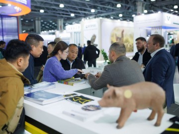 20251030 11.02 №0415