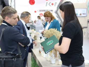 IMG_7763 — копия