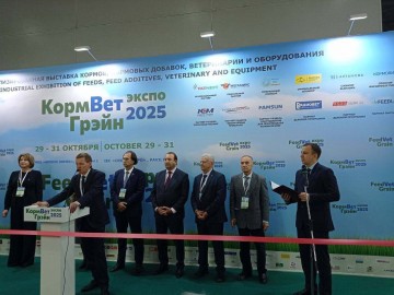 photo_2025-11-05_18-09-16