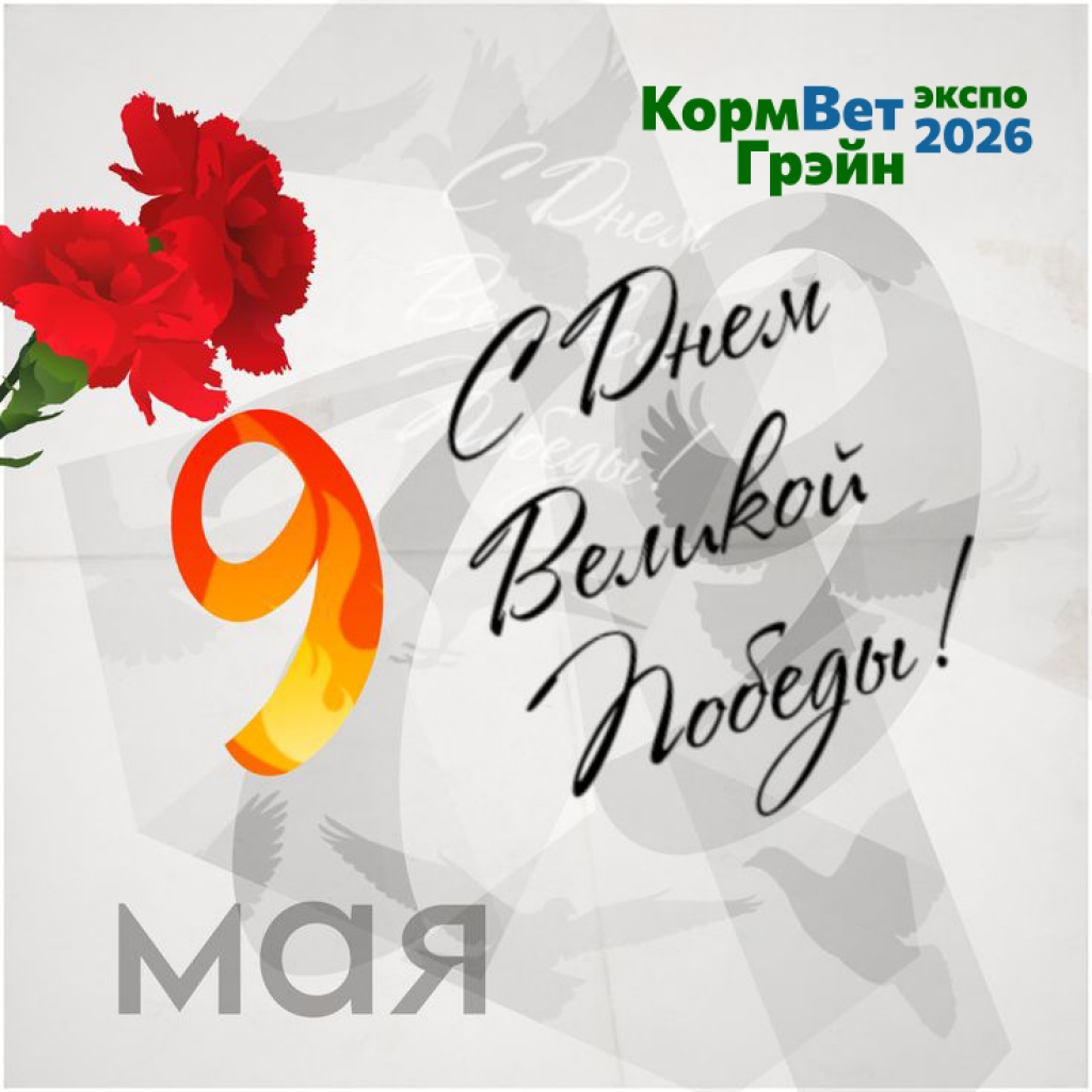 Поздравляем с праздником 9 мая!