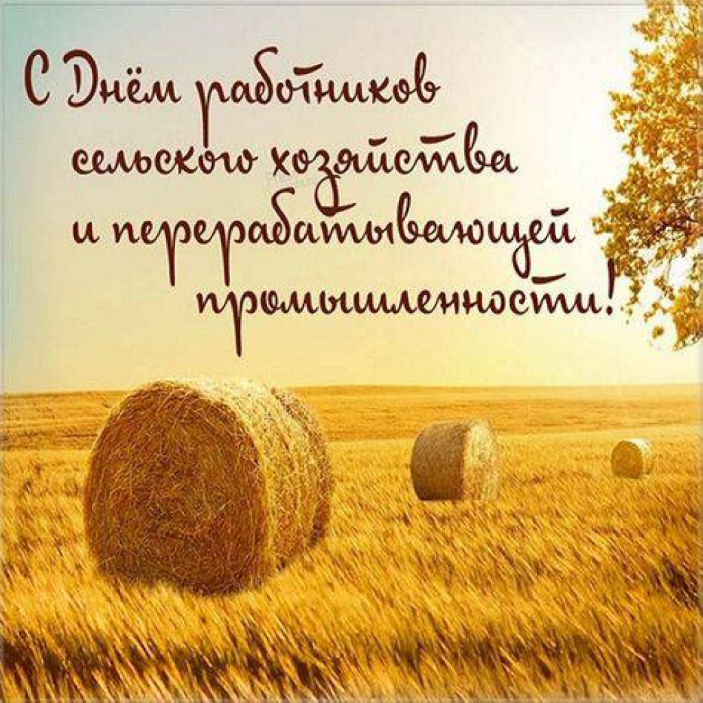 Поздравляем с Днем работника сельского хозяйства и перерабатывающей промышленности!